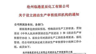 44118太阳成城集团关于设立清洁生产审核组织机构的通知